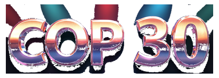 cop 30 logo